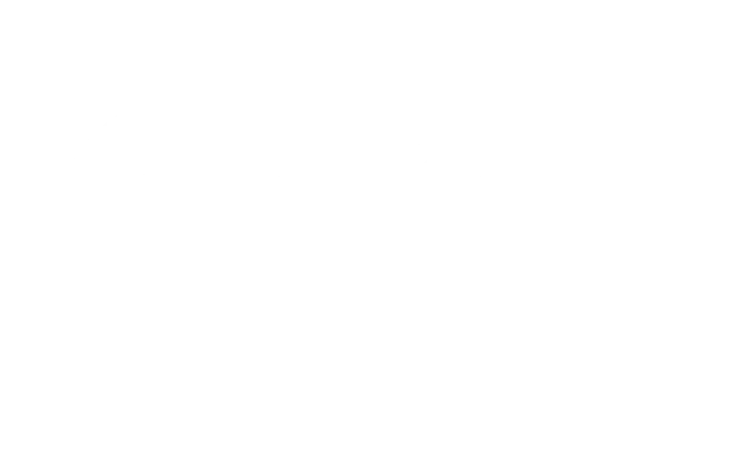 bfine-logo